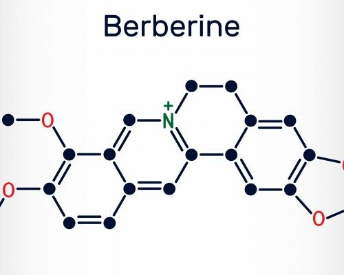 berberin chemishce zusammensetzung