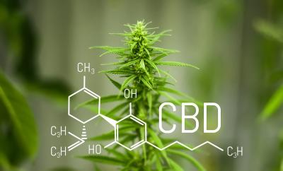 cbd chemische zusammensetzung