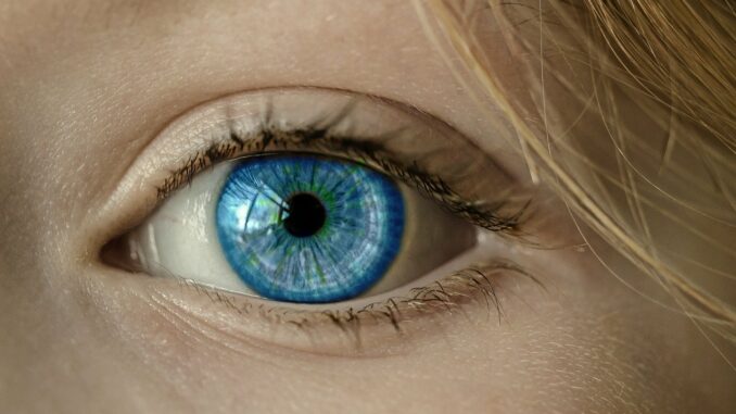 blaues auge blaues auge