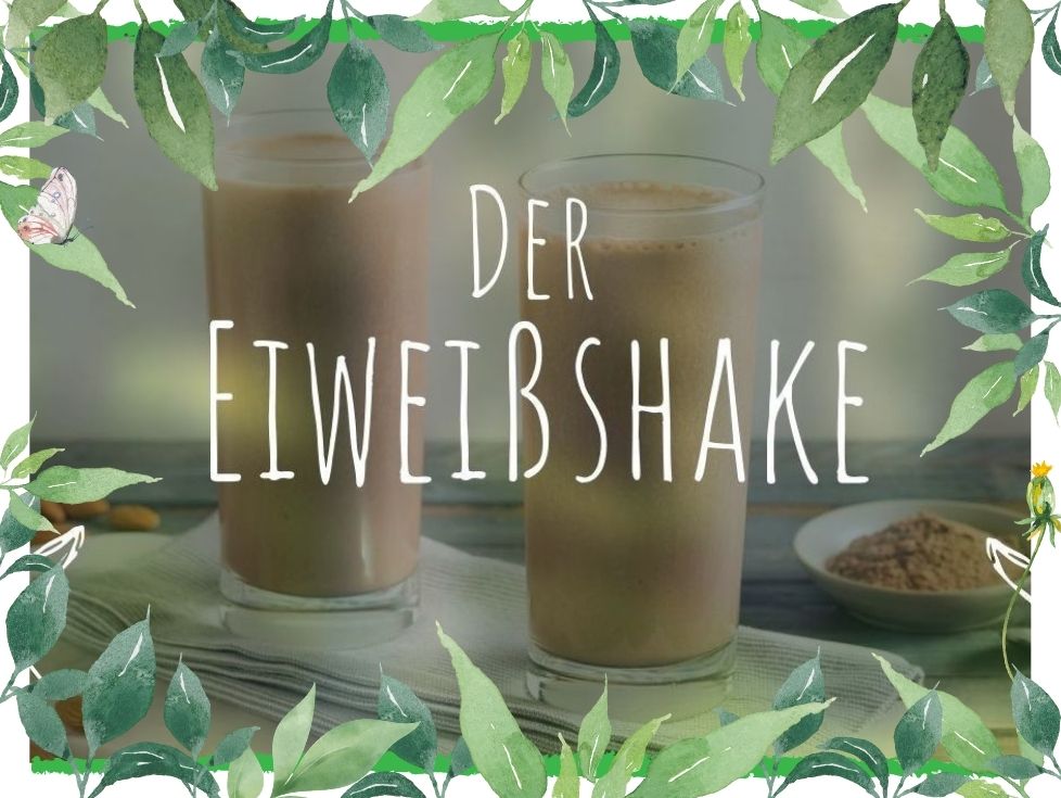 der eiweissshake