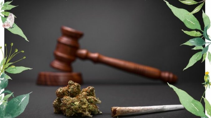 cannabis legalisierung