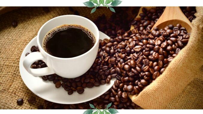 alnatura produkte kaffee kaffeebohnen