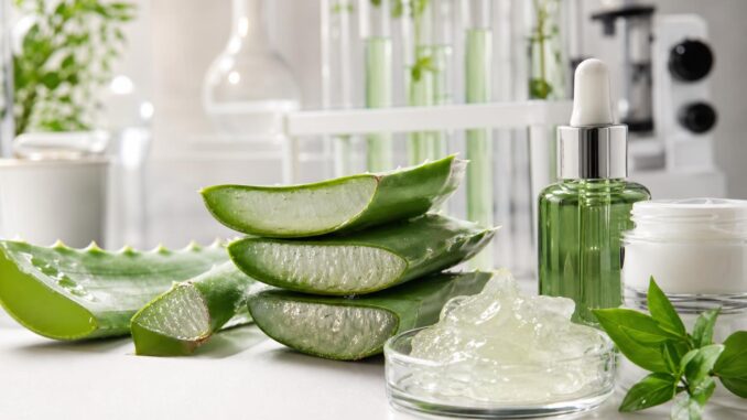aloe vera scheiben eine schale mit aloe gel eine tropfflasche ein cremeglas grüne blätter und laborglasgeräte angeordnet auf einer weißen fläche
