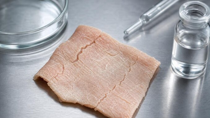 Getrocknetes Hautstück mit sichtbaren Rissen liegt auf einer Metallplatte neben einem Glasröhrchen, einer Pipette und einem